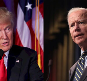 Biden and Trump market gains compared
