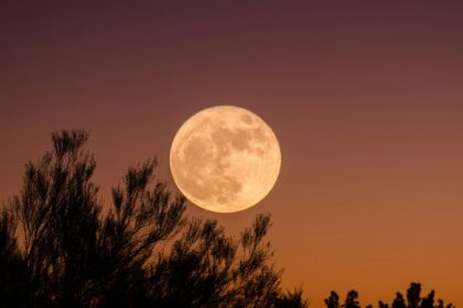 Full Moon in Leo ignites love