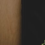 Dow drops 817 points amid treasury woes