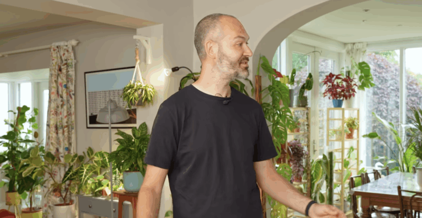 Indoor Jungle Houseplant Tour Overview