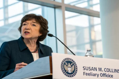 collins signals caution on rate cuts