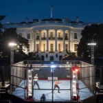 ufc freedom fight card revealed
