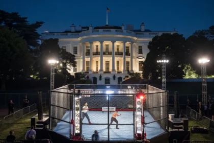 ufc freedom fight card revealed