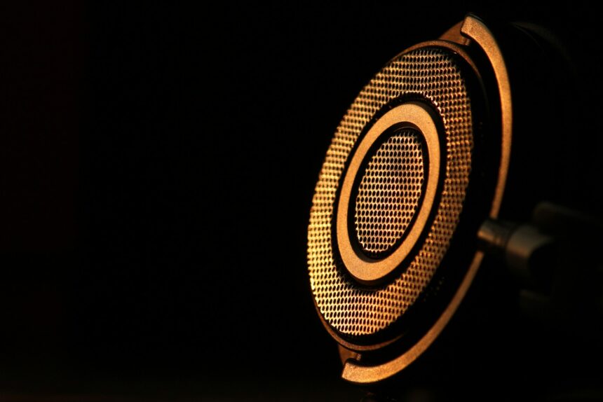 a close up of a microphone in the dark; audio advertising